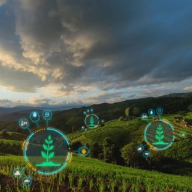 Sostenibilidad global de la cadena alimentaria