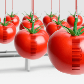 Ley de seguridad alimentaria y nutrición - Salamanca