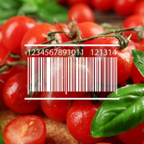 Curso online de Trazabilidad en la industria alimentaria