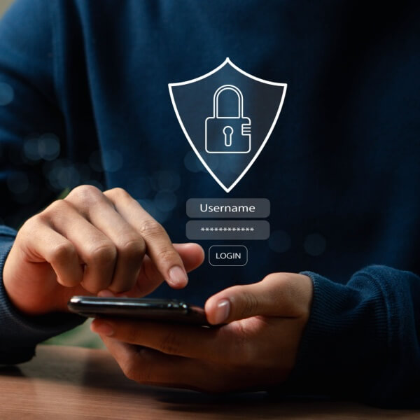 Curso online de Planificación y gestión de la seguridad informática empresarial - SEPE