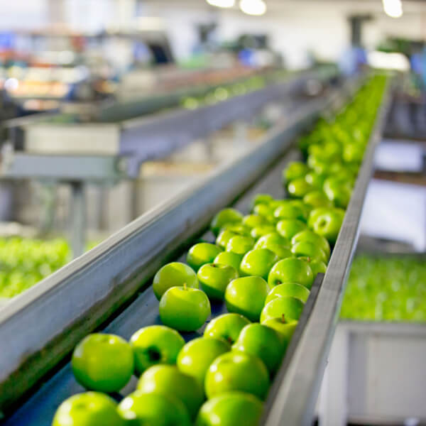 Gestión de sistemas de seguridad alimentaria Gestión de sistemas de seguridad alimentaria