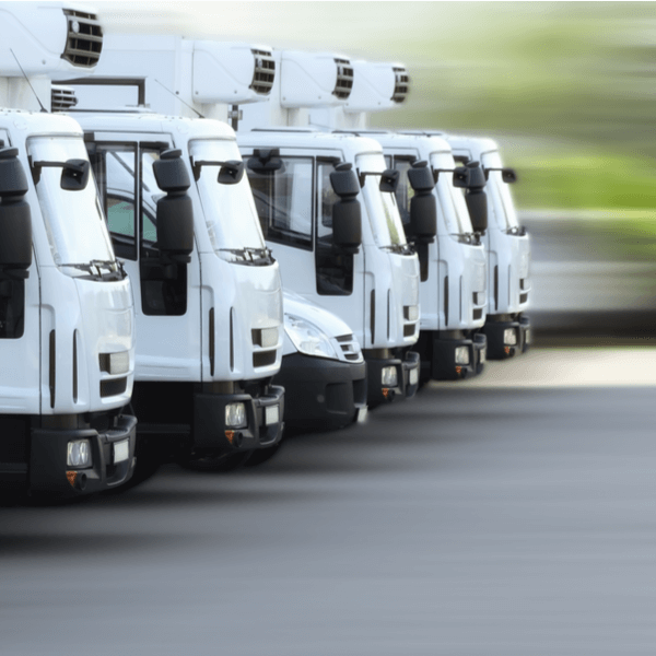 Gestión del transporte en la empresa Gestión del transporte en la empresa