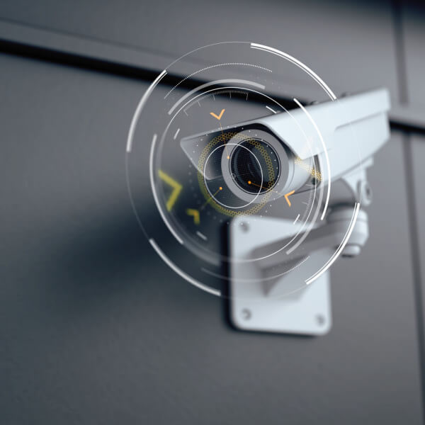 Técnicas y métodos de observación y vigilancia Técnicas y métodos de observación y vigilancia