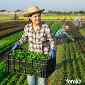 Cómo mejorar la Prevención de Riesgos Laborales para recolectores