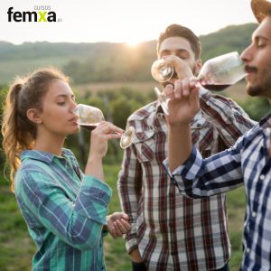 La cata: análisis sensorial del vino