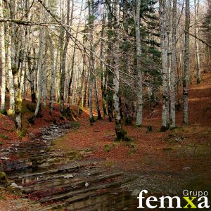 Riesgos Medioambientales en Navarra